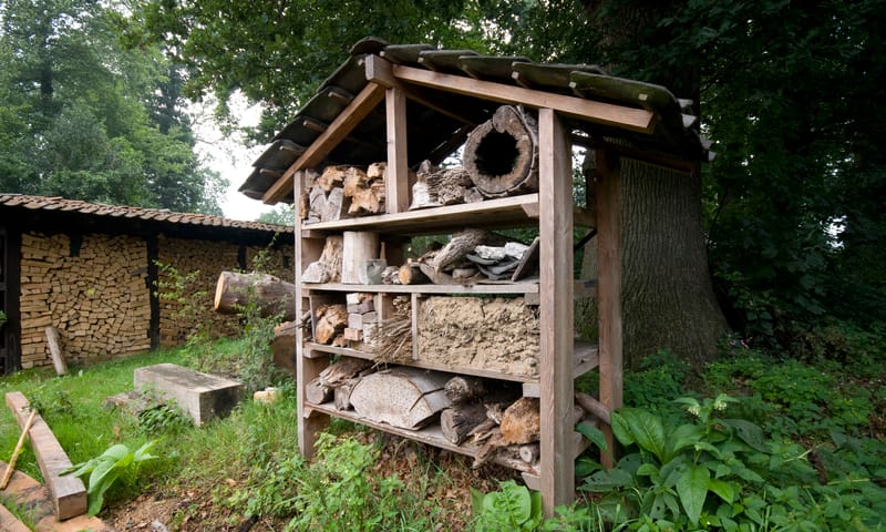 Insectenhotel bouwen op Tiengemeten