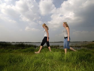 Wandelroute Groene Jonker bij de Nieuwkoopse Plassen