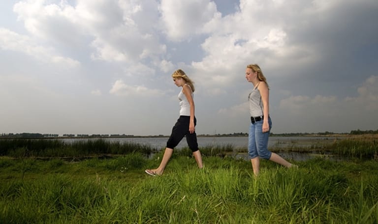 Wandelroute Groene Jonker bij de Nieuwkoopse Plassen