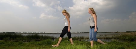 Wandelroute Groene Jonker bij de Nieuwkoopse Plassen