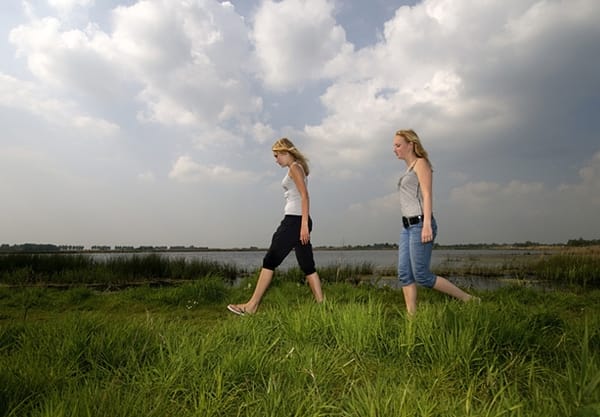 Welkom in de Groene Jonker!