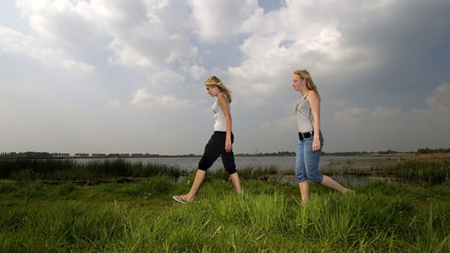 Wandelroute Groene Jonker bij de Nieuwkoopse Plassen