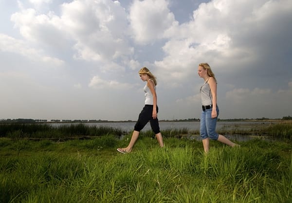 Welkom in de Groene Jonker! Welkom in de Groene Jonker!