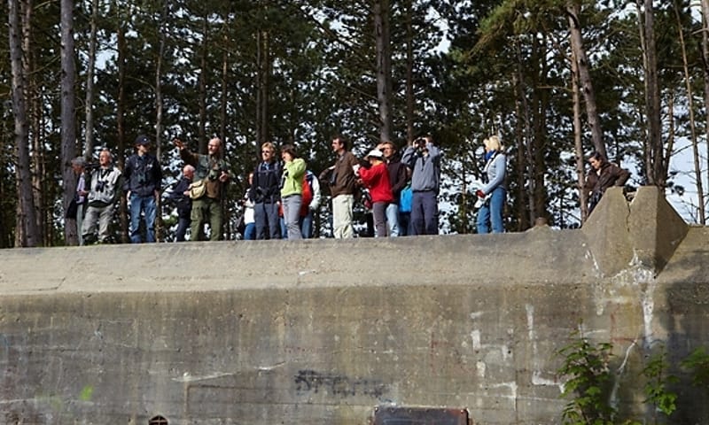 Mensen op bunker Slot Haamstede Natuurmonumenten