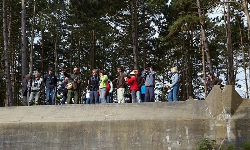 Mensen op bunker Slot Haamstede Natuurmonumenten