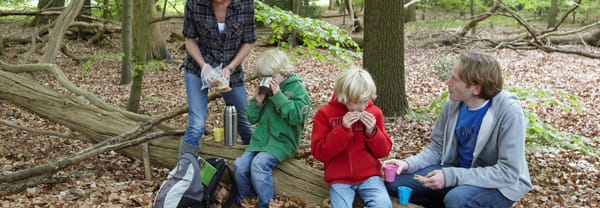Natuurschuur Staatsbosbeheer