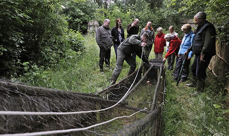 Wandelen door eendenkooi Het Aalkeetbuiten