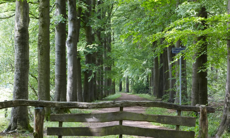 Bos Natuurmonumenten