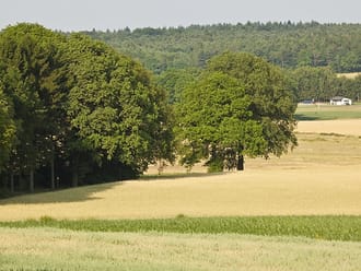 Wandelroute Bergherbos in Beek, vlakbij Doetinchem