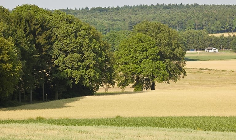 Wandelroute Bergherbos in Beek, vlakbij Doetinchem