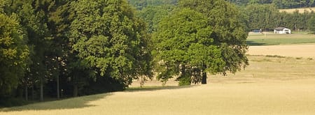 Wandelroute Bergherbos in Beek, vlakbij Doetinchem
