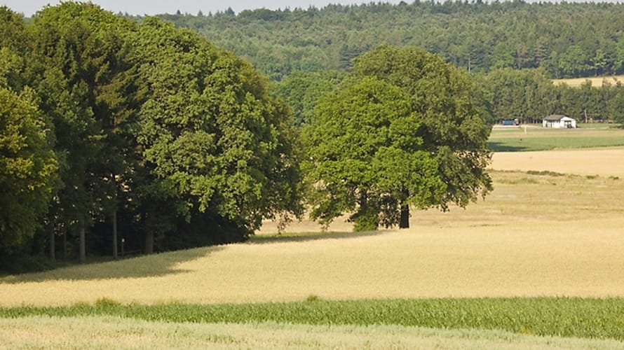 Wandelroute Bergherbos in Beek, vlakbij Doetinchem