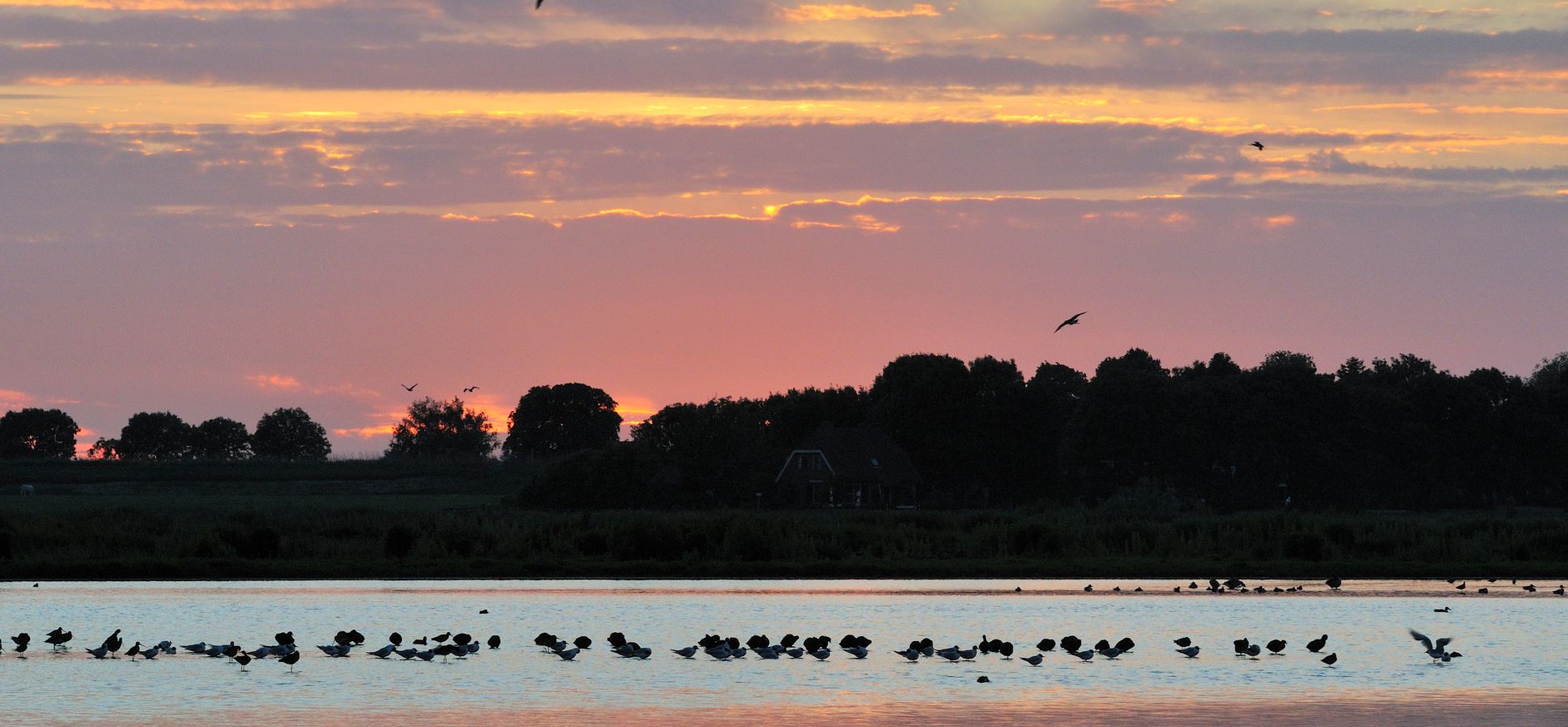 Polder Groot-Mijdrecht