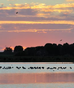 Polder Groot-Mijdrecht