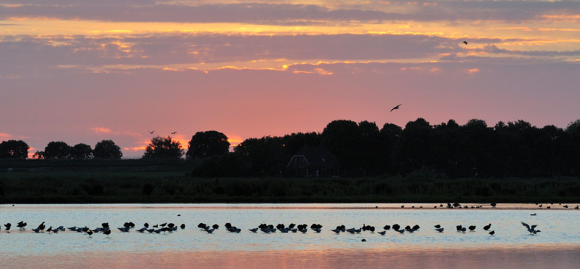 Polder Groot-Mijdrecht