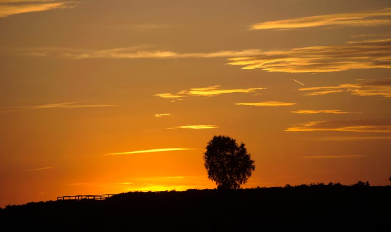Avond op Veluwezoom