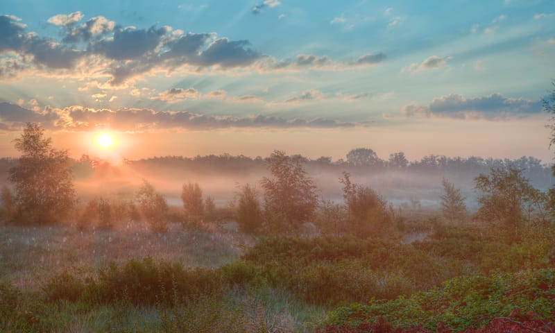 Korenburgerveen