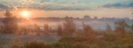 Veenexcursie Korenburgerveen - Winterswijk