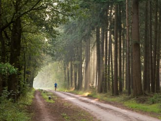 Wandelroute Mentink, vlakbij Winterswijk
