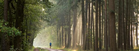 Wandelroute Mentink, vlakbij Winterswijk