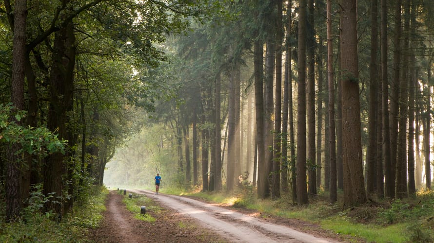Wandelroute Mentink, vlakbij Winterswijk