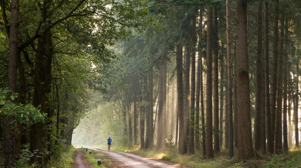 Wandelroute Mentink, vlakbij Winterswijk