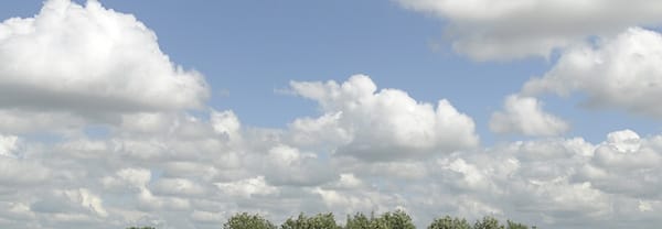 Vreugderijkerwaard