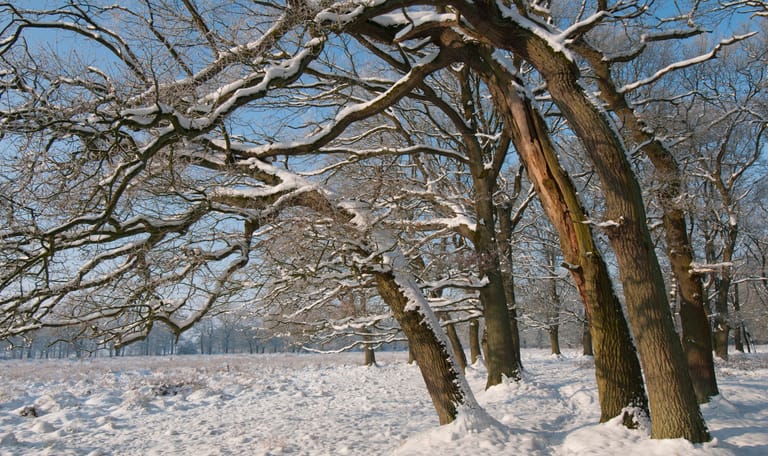 Winterexcursie dal van de Ruiten Aa