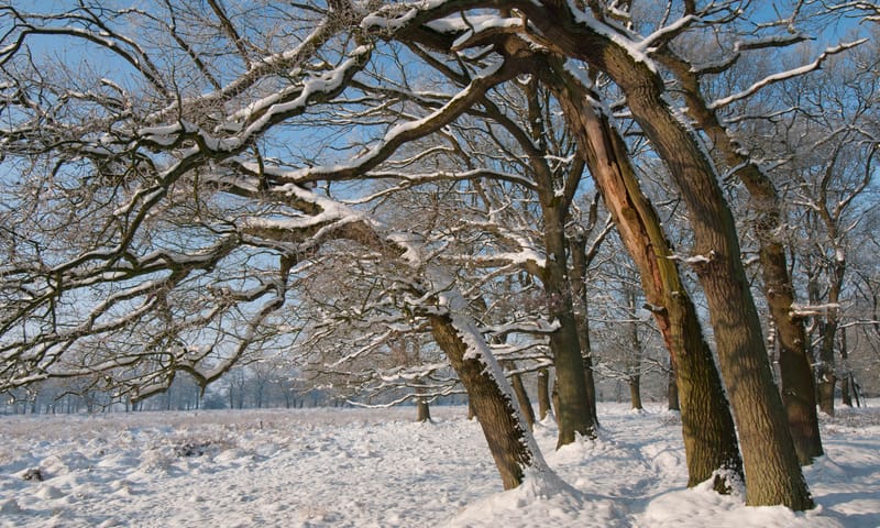 Winterexcursie dal van de Ruiten Aa