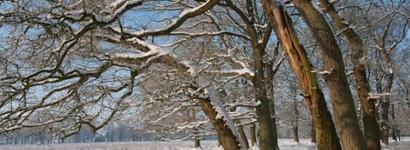 Winterexcursie dal van de Ruiten Aa