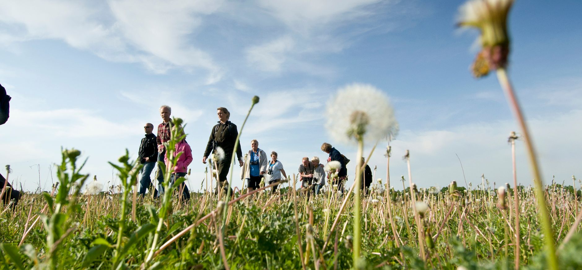 Leeuwenloop wandelevenement Groningen