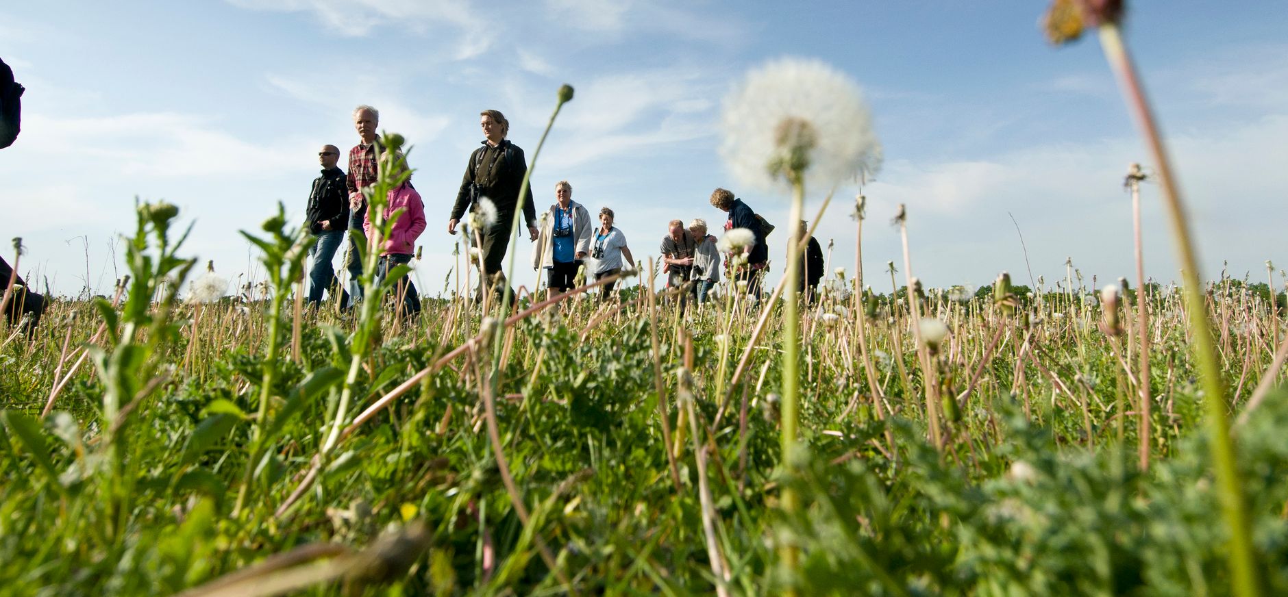 Leeuwenloop wandelevenement Groningen Leeuwenloop wandelevenement Groningen