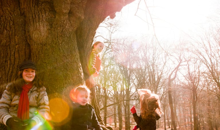 Keltische bomenroute Colckhof, bij Heino, Salland