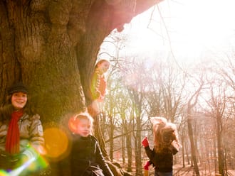 Keltische bomenroute Colckhof, bij Heino, Salland