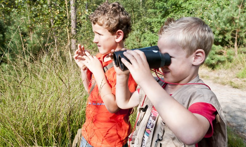 Speurtocht voor kinderen naar vlinders en bloemen