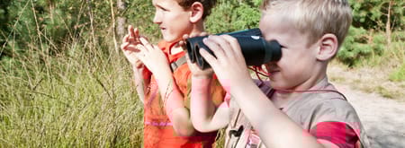 Speurtocht voor kinderen naar vlinders en bloemen