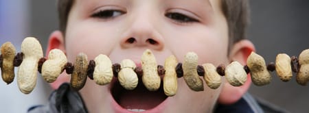 Maak je eigen vogelsnack