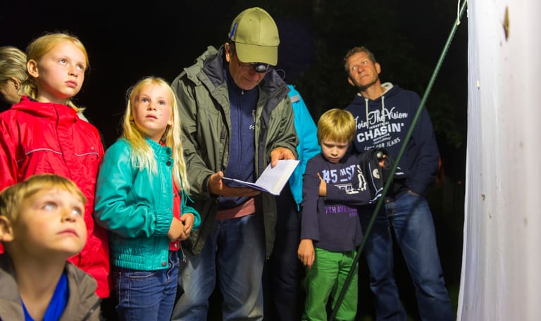 Nachtvlinders spotten Dwingelderveld