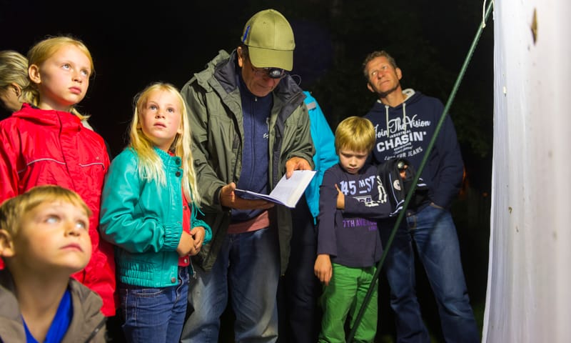 Nachtvlinders spotten Dwingelderveld