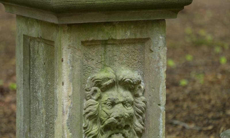 Detail van de burmaniazuil bij landgoed de Slotplaats