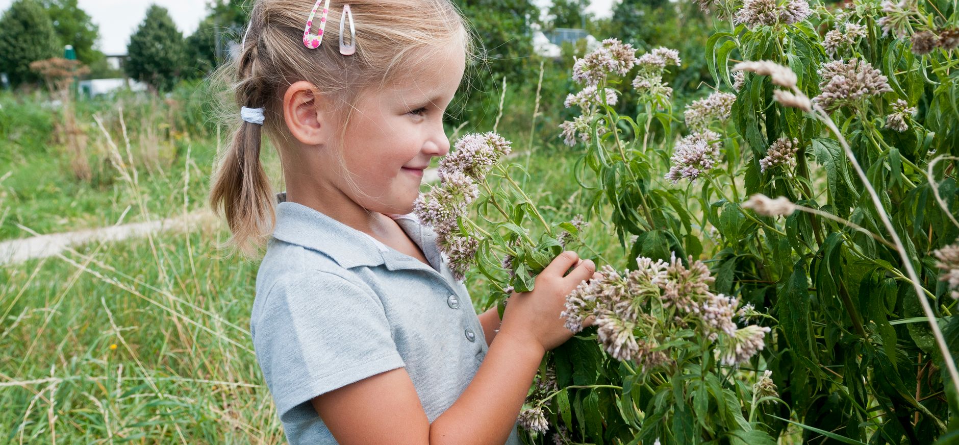 Droogbloemen maken