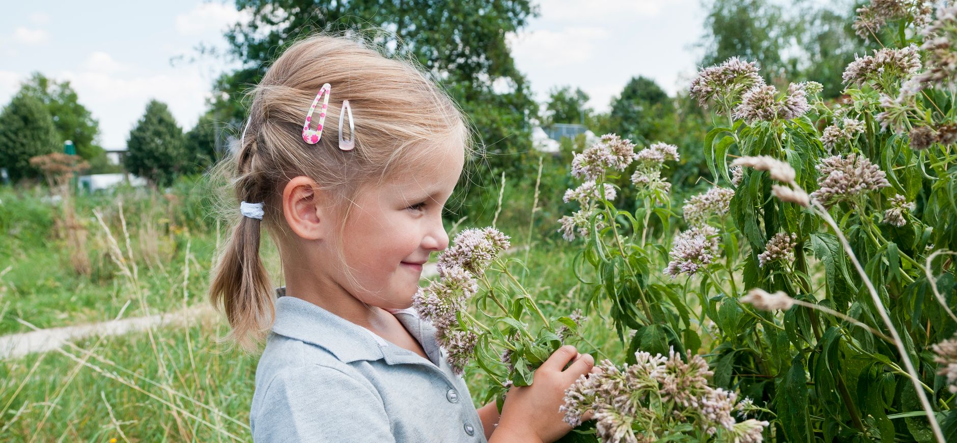 Droogbloemen maken