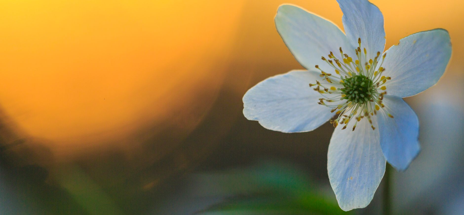 Ontbrekende schakel Duivelshof aangekocht