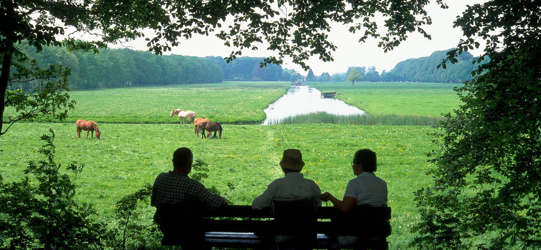 Schoonoord