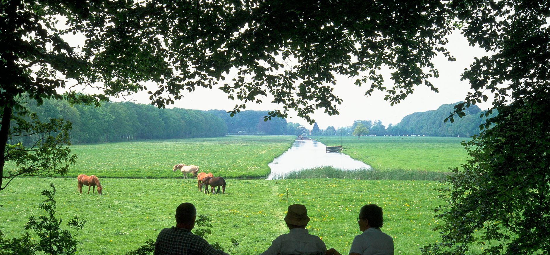 Schoonoord
