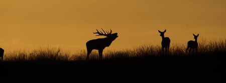Bronstexcursie Nationaal Park Veluwezoom