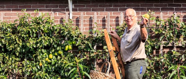Bezoek landgoed Velhorst op Open Monumentendag