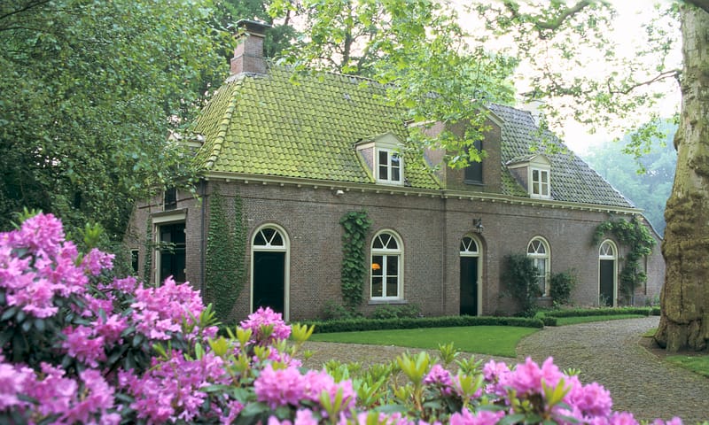 Rodondendrons op Landgoed Oldenaller Natuurmonumenten