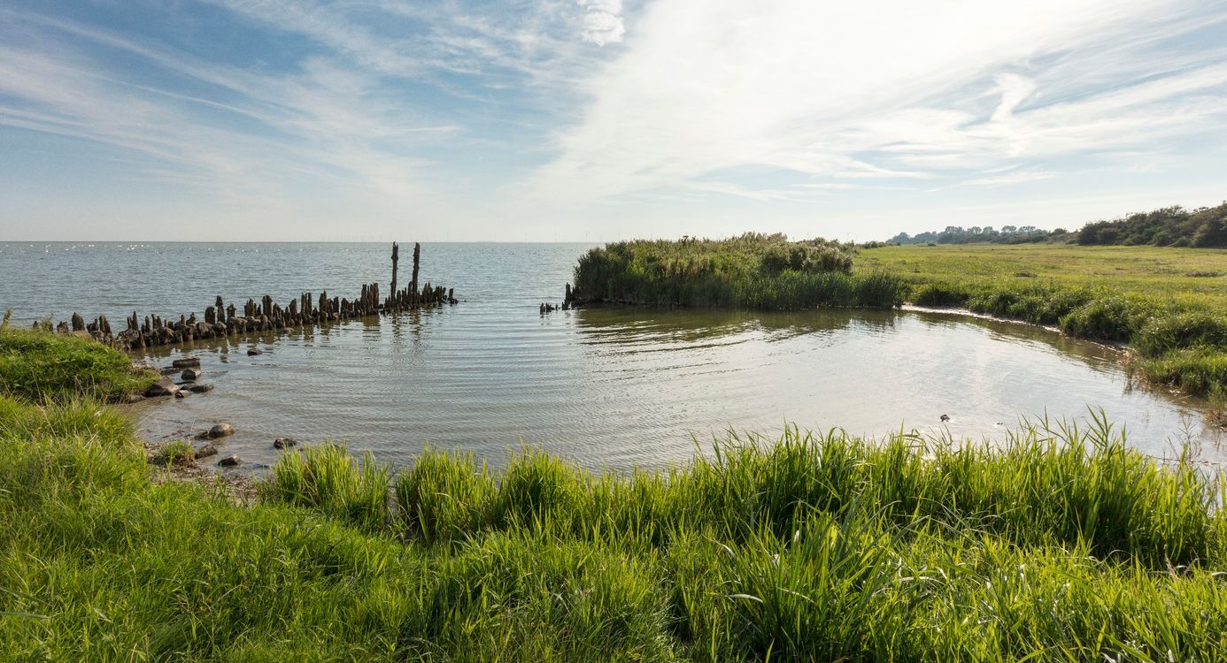 © Natuurmonumenten - Roelof Bos Oudemirdumerklif, Gaasterland, Friesland