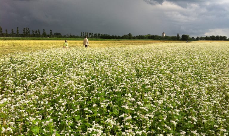 Geocaching op landgoed Haarzuilens